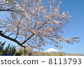 Fuji 006 8113793