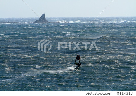 Shonan Chigasaki Owlski and wind surfing 8114313