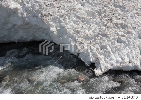 Melting snow of an winter avalanche in Jostedalsbreen national p Melting snow of an winter avalanche in Jostedalsbreen national p 8114370