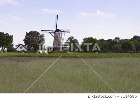 Windmill Windhond (Soest, the Netherlands) 8114596