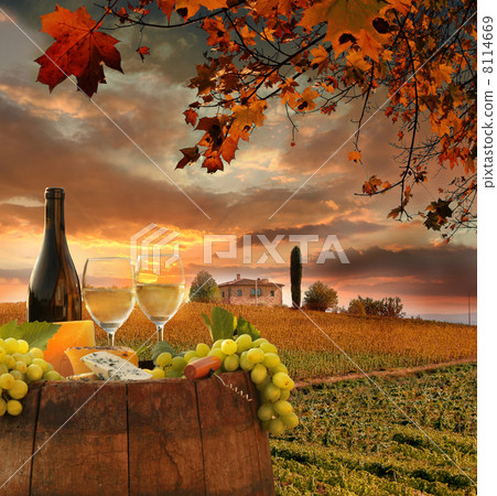 White wine with barrel on vineyard in Chianti, Tuscany, Italy 8114669