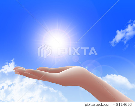 棕櫚 8114693