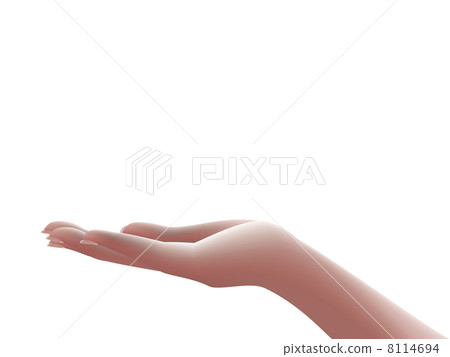 棕櫚 8114694