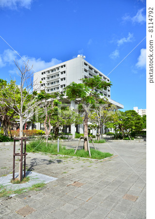 沖繩總務辦公室 8114792