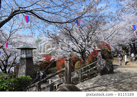 Asukayama Park Asukayama Park 8115189