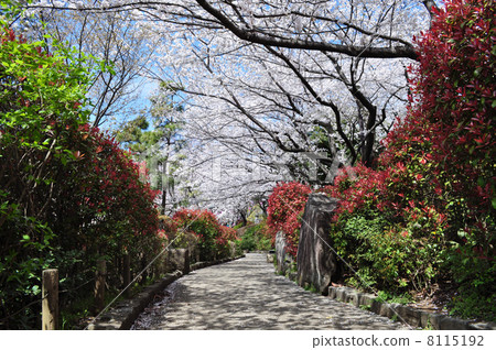 Asukayama Park 8115192