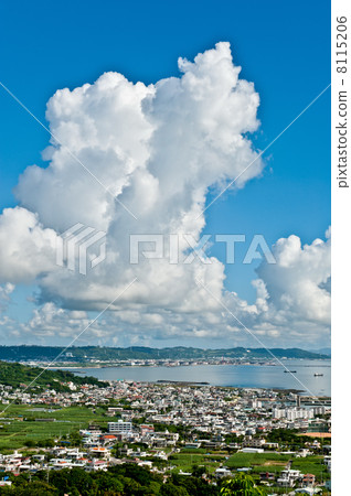Thunbergye 8115206