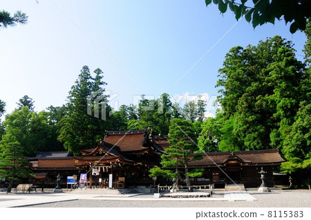 Taga Taisha 8115383