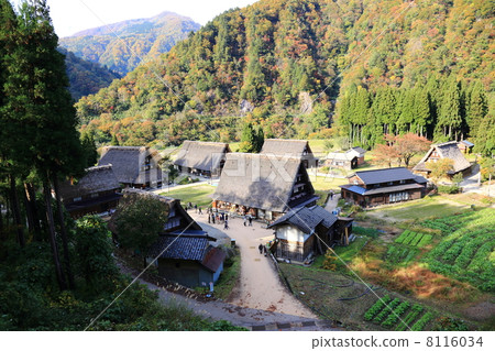 加入自己的雙手合十做五箇山 8116034