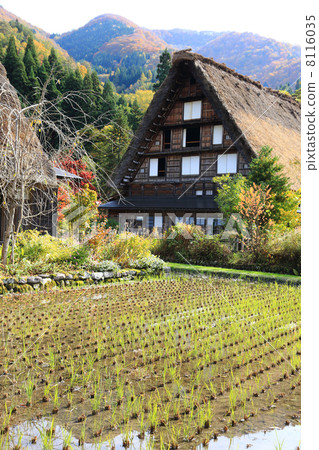 王子式建築白川鄉 8116035