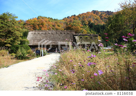 Shirakawago Wada family Shirakawago Wada family 8116038