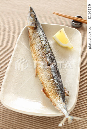 Grilled saury with salt Grilled saury with salt 8116119