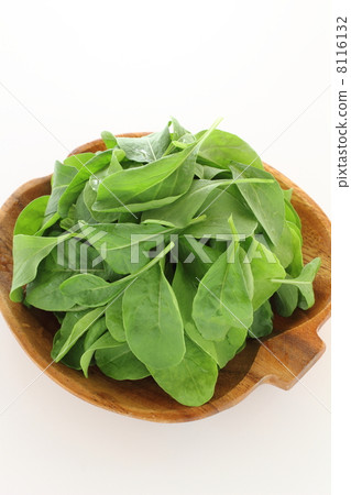 arugula  8116132