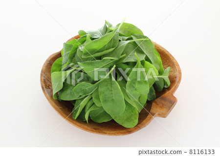 arugula arugula 8116133