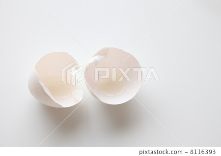 Egg shell  8116393