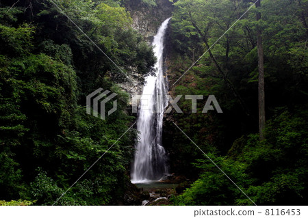 夏天的原始不動瀑布 夏天的原始不動瀑布 8116453