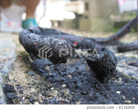 蛇煙火燒焦的遺骸 蛇煙火燒焦的遺骸 8116800