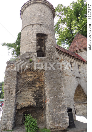 世界遺產塔林 8117377
