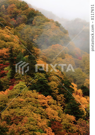 秋天的松川谷在雨中抽煙 8117651