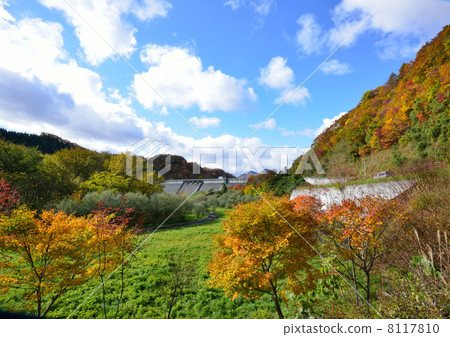 Autumn leaves 8117810