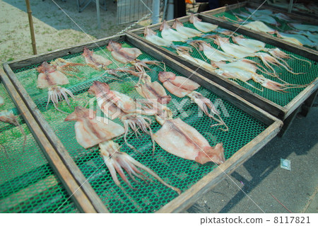 Dried squid dried overnight 8117821