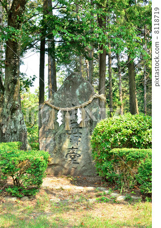 Dogai stage 8118719