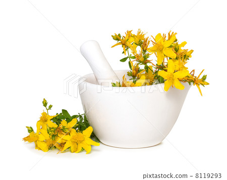 St. John's wort flowers in medical mortar on a white background 8119293