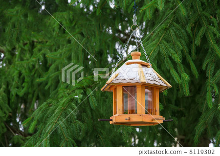 Bird feeders in the winter. 8119302