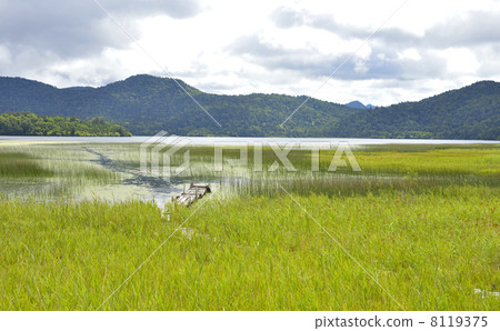 Ozenuma north coast 8119375