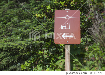 Sign pointing to lighthouse Sign pointing to lighthouse 8119771