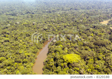 Aerial view of Amazon Rainforest Aerial view of Amazon Rainforest 8120180