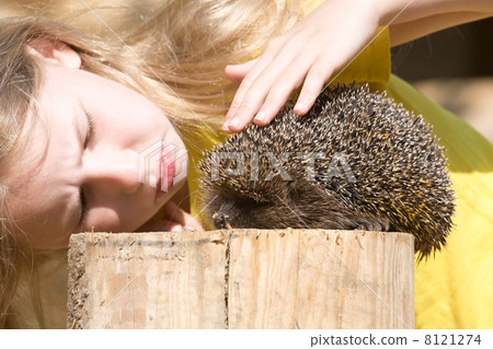 little girl and a hedgehog little girl and a hedgehog 8121274