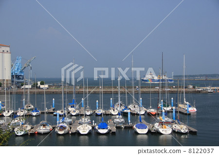 Shimizu Marine Park 8122037