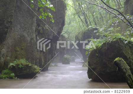 Tarumae Gallo 8122939