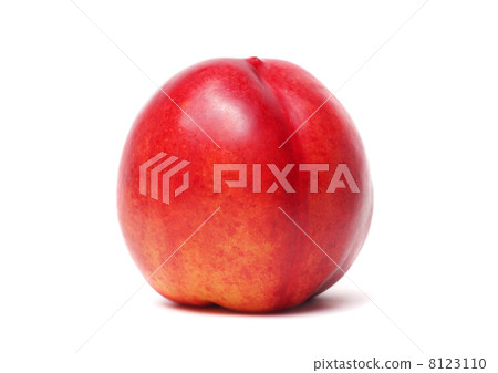 Single nectarine isolated 8123110