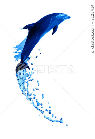 Dolphin High Jump Dolphin High Jump 8123414