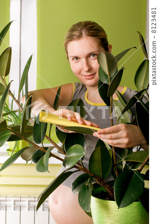 Cute Pregnant Woman On Kitchen Cute Pregnant Woman On Kitchen 8123481
