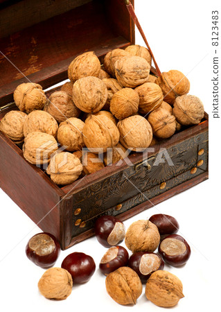 Chest With Walnuts Chest With Walnuts 8123483