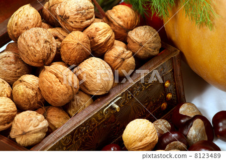 Chest with walnuts 8123489