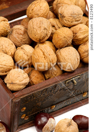 Chest With Walnuts 8123490