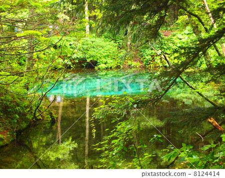 God's Pond God's Pond 8124414