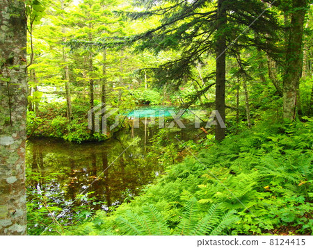 God's Pond God's Pond 8124415