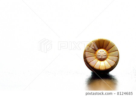 lawyer badge 8124685