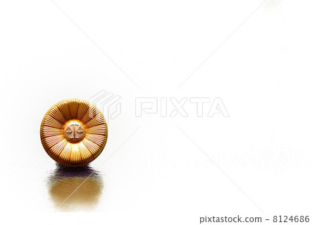 律師徽章 8124686