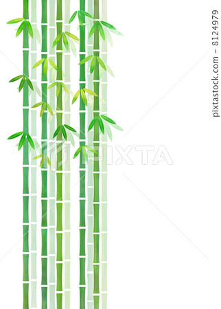 Bamboo grove Bamboo grove 8124979