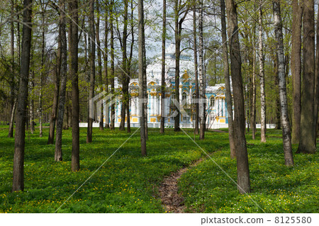 Pavilion in Catherine`s park in Tsarskoe Selo through the woods 8125580