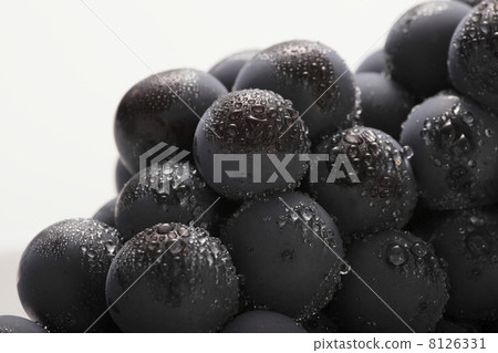 Grape Grape 8126331