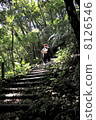 Forest bathing 8126546
