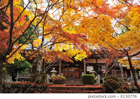 京都Katsukushiji的秋天 京都Katsukushiji的秋天 8130776