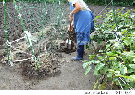 Farm work Farm work 8131604